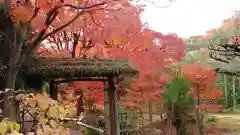 筥崎宮の庭園