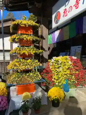 一乗院(身代不動尊) (茨城県)