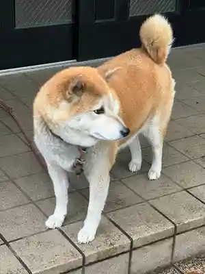 笠䅣稲荷神社(神奈川県)