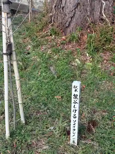 須須神社(石川県)