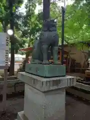 平塚八幡宮の狛犬