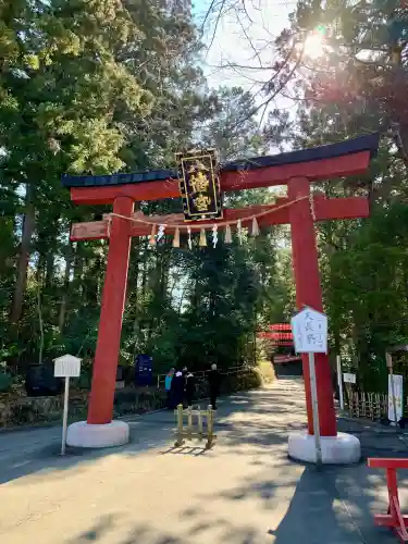 大崎八幡宮の{uncategorized: "未分類", other: "その他", undefined: "問題あり", building: "その他建物", grave: "お墓", sacred_gate: "鳥居", guardian: "狛犬", statue: "像", buddha: "仏像", history: "歴史", nature: "自然", garden: "庭園", animal: "動物", pagoda: "塔", temizu: "手水舎", mountain_gate: "山門・神門", sanctuary: "本殿・本堂", subordinate: "末社・摂社", art: "芸術", scenery: "景色", jizo: "地蔵", ema: "絵馬", goshuin: "御朱印", omikuji: "おみくじ", items: "授与品その他", amulet: "お守り", goshuincho: "御朱印帳", eats: "食事", festival: "お祭り", votive_dance: "神楽", shichigosan: "七五三参", wedding: "結婚式", experience: "体験その他", initially: "初詣", around: "周辺", anti_infection: "感染症対策"}
