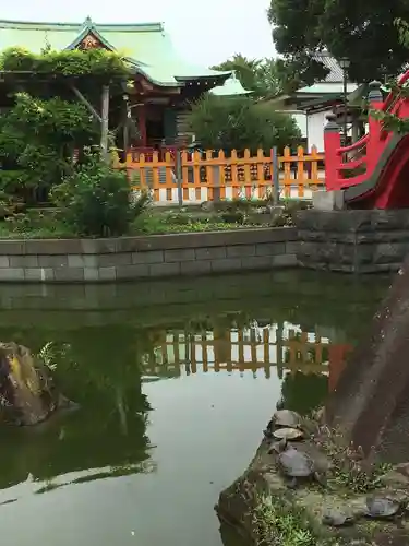 亀戸天神社の庭園