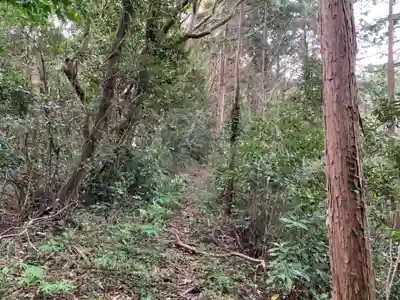 京塚山浅間神社の周辺