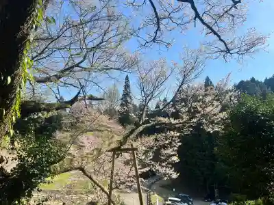 仏隆寺の{uncategorized: "未分類", other: "その他", undefined: "問題あり", building: "その他建物", grave: "お墓", sacred_gate: "鳥居", guardian: "狛犬", statue: "像", buddha: "仏像", history: "歴史", nature: "自然", garden: "庭園", animal: "動物", pagoda: "塔", temizu: "手水舎", mountain_gate: "山門・神門", sanctuary: "本殿・本堂", subordinate: "末社・摂社", art: "芸術", scenery: "景色", jizo: "地蔵", ema: "絵馬", goshuin: "御朱印", omikuji: "おみくじ", items: "授与品その他", amulet: "お守り", goshuincho: "御朱印帳", eats: "食事", festival: "お祭り", votive_dance: "神楽", shichigosan: "七五三参", wedding: "結婚式", experience: "体験その他", initially: "初詣", around: "周辺", anti_infection: "感染症対策"}