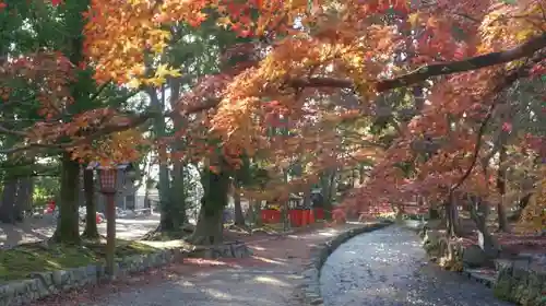 賀茂別雷神社（上賀茂神社）の自然