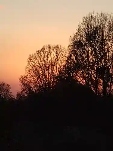 大神神社(奈良県)