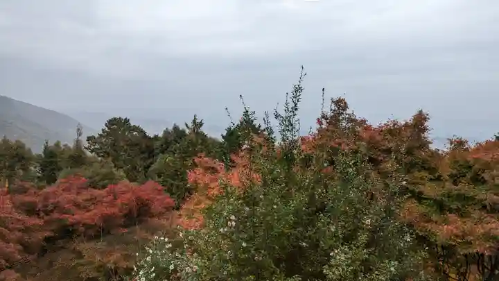 三鈷寺(京都府)