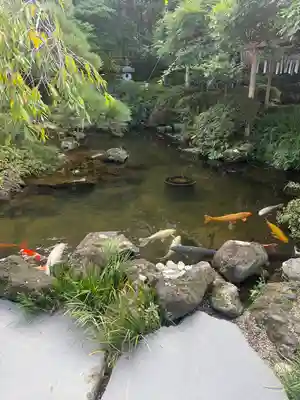 金蛇水神社(宮城県)