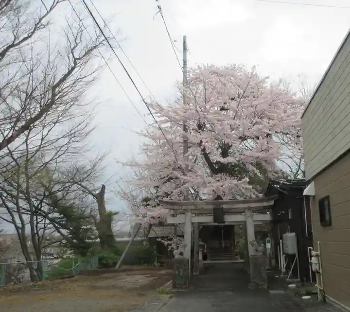 藤木大明神(岩手県)