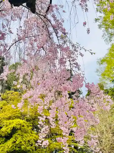 神明社(宮城県)