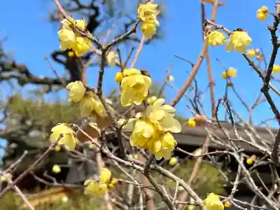 結城神社(三重県)