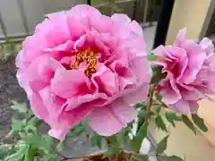 滑川神社 - 仕事と子どもの守り神の自然