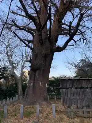 芝東照宮(東京都)