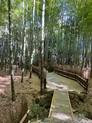 報国寺(神奈川県)