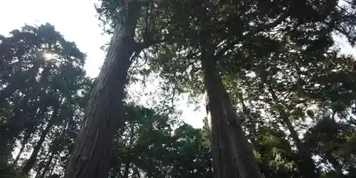 柚井宇賀神社の建物その他