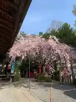 水火天満宮の庭園
