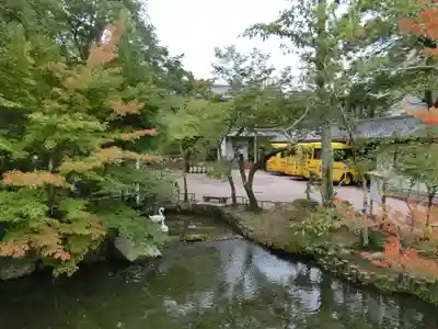 禅林寺(永観堂)(京都府)
