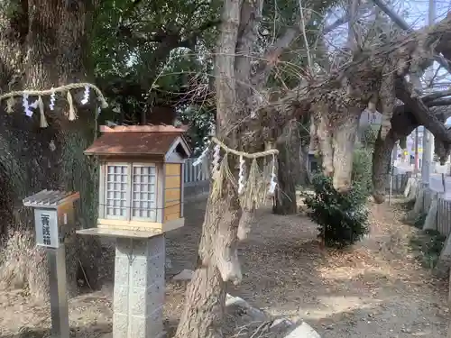 多奈波太神社の自然