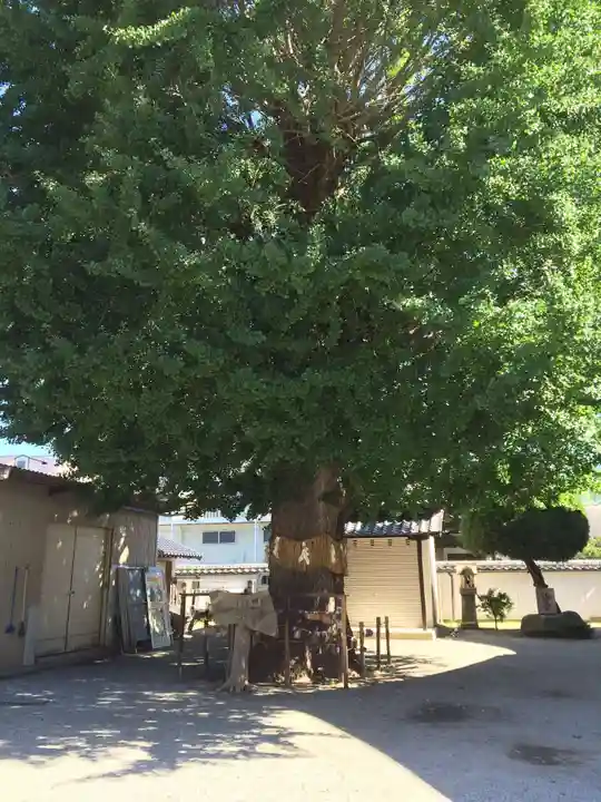姪浜住吉神社(福岡県)