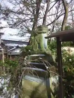 伊勢玉神社の狛犬