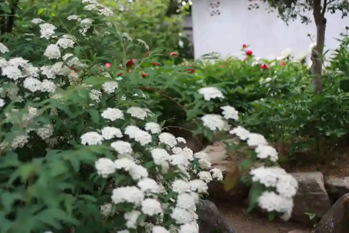 石光寺(奈良県)