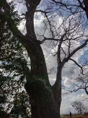 松井孫右衛門社(三重県)