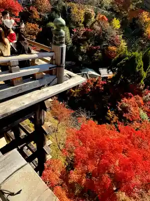 清水寺の{uncategorized: "未分類", other: "その他", undefined: "問題あり", building: "その他建物", grave: "お墓", sacred_gate: "鳥居", guardian: "狛犬", statue: "像", buddha: "仏像", history: "歴史", nature: "自然", garden: "庭園", animal: "動物", pagoda: "塔", temizu: "手水舎", mountain_gate: "山門・神門", sanctuary: "本殿・本堂", subordinate: "末社・摂社", art: "芸術", scenery: "景色", jizo: "地蔵", ema: "絵馬", goshuin: "御朱印", omikuji: "おみくじ", items: "授与品その他", amulet: "お守り", goshuincho: "御朱印帳", eats: "食事", festival: "お祭り", votive_dance: "神楽", shichigosan: "七五三参", wedding: "結婚式", experience: "体験その他", initially: "初詣", around: "周辺", anti_infection: "感染症対策"}