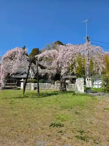 相馬小高神社の{uncategorized: "未分類", other: "その他", undefined: "問題あり", building: "その他建物", grave: "お墓", sacred_gate: "鳥居", guardian: "狛犬", statue: "像", buddha: "仏像", history: "歴史", nature: "自然", garden: "庭園", animal: "動物", pagoda: "塔", temizu: "手水舎", mountain_gate: "山門・神門", sanctuary: "本殿・本堂", subordinate: "末社・摂社", art: "芸術", scenery: "景色", jizo: "地蔵", ema: "絵馬", goshuin: "御朱印", omikuji: "おみくじ", items: "授与品その他", amulet: "お守り", goshuincho: "御朱印帳", eats: "食事", festival: "お祭り", votive_dance: "神楽", shichigosan: "七五三参", wedding: "結婚式", experience: "体験その他", initially: "初詣", around: "周辺", anti_infection: "感染症対策"}