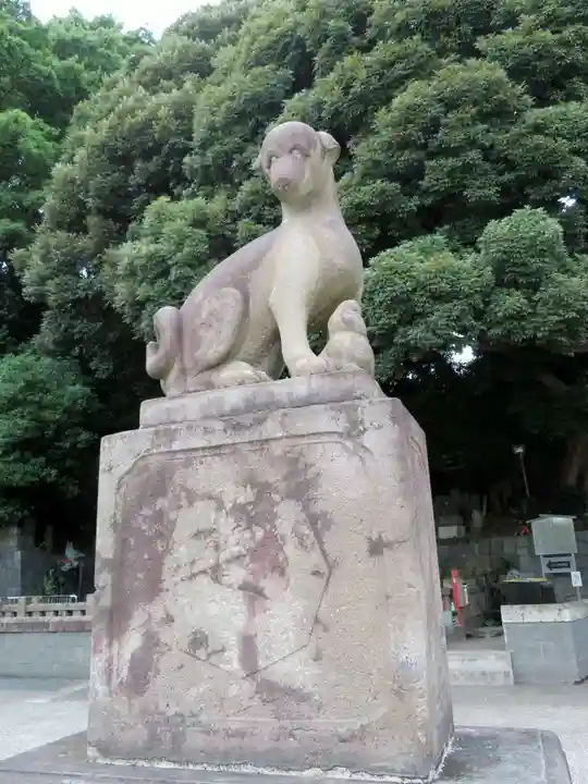 瀧泉寺(目黒不動尊)の狛犬