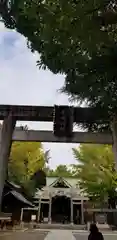 牛嶋神社の鳥居