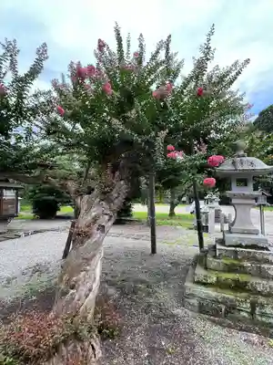 相馬小高神社(福島県)