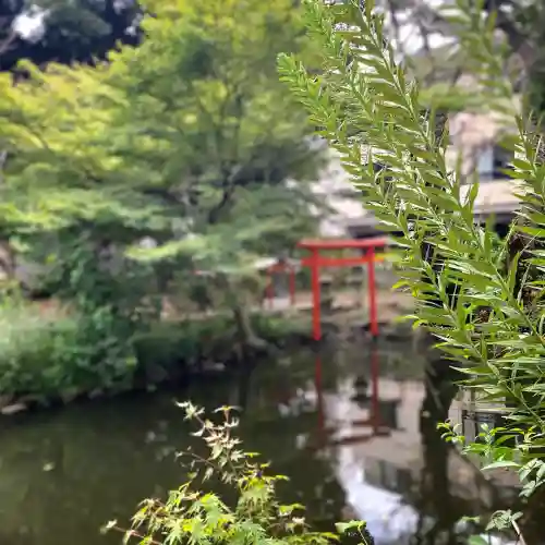 瀧泉寺（目黒不動尊）(東京都)