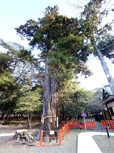 息栖神社(茨城県)