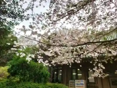 湯島聖堂(東京都)