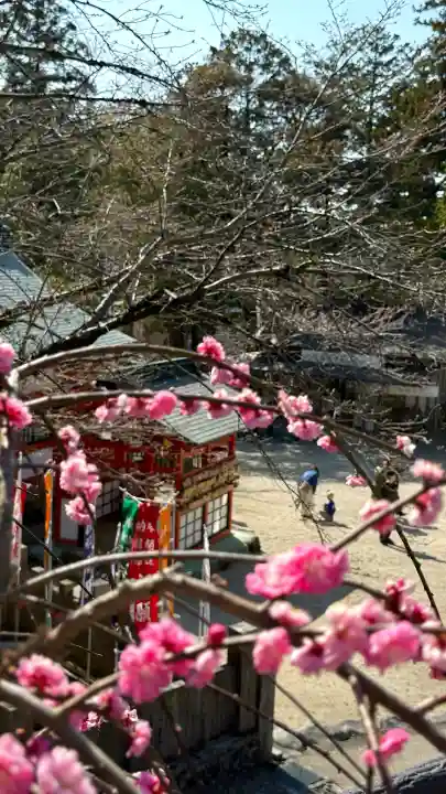 大縣神社の{uncategorized: "未分類", other: "その他", undefined: "問題あり", building: "その他建物", grave: "お墓", sacred_gate: "鳥居", guardian: "狛犬", statue: "像", buddha: "仏像", history: "歴史", nature: "自然", garden: "庭園", animal: "動物", pagoda: "塔", temizu: "手水舎", mountain_gate: "山門・神門", sanctuary: "本殿・本堂", subordinate: "末社・摂社", art: "芸術", scenery: "景色", jizo: "地蔵", ema: "絵馬", goshuin: "御朱印", omikuji: "おみくじ", items: "授与品その他", amulet: "お守り", goshuincho: "御朱印帳", eats: "食事", festival: "お祭り", votive_dance: "神楽", shichigosan: "七五三参", wedding: "結婚式", experience: "体験その他", initially: "初詣", around: "周辺", anti_infection: "感染症対策"}