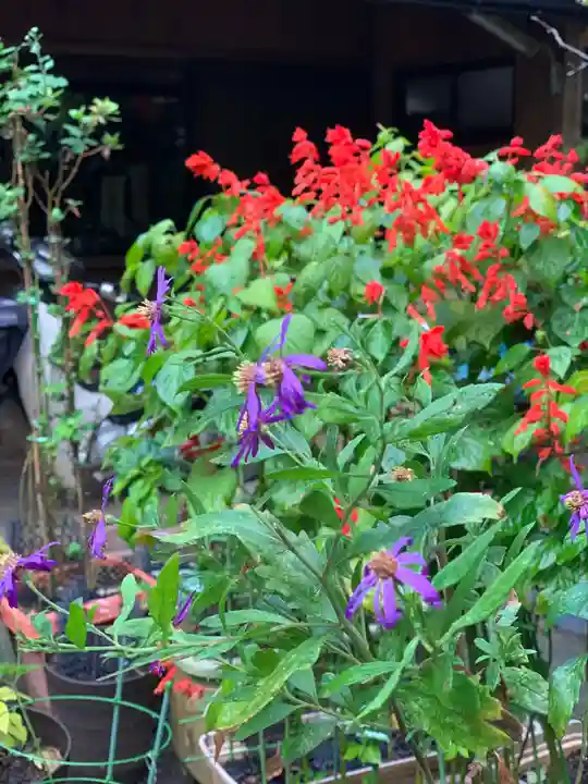 伏見稲荷大社の自然