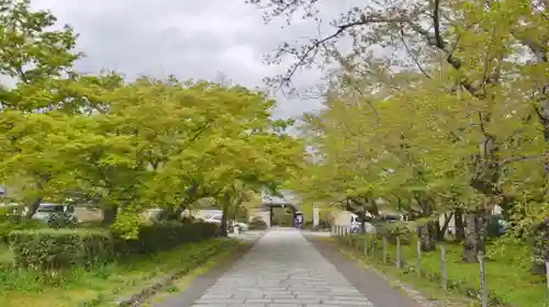 神光院の庭園