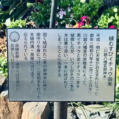 川越八幡宮(埼玉県)