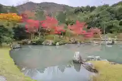 天龍寺の庭園