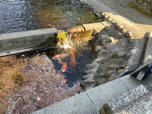 平塚八幡宮(神奈川県)