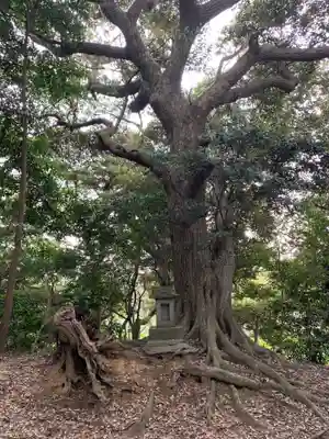 三峰神社(千葉県)