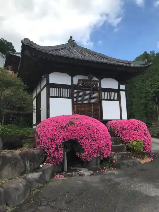 金剛寺の本殿・本堂