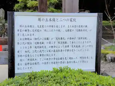 円通寺の歴史