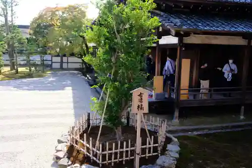 仁和寺の庭園