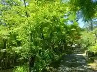 長安寺(京都府)