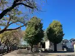 諏訪神社の建物その他