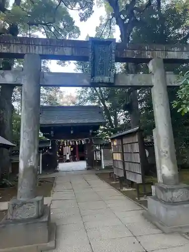 赤坂氷川神社の鳥居