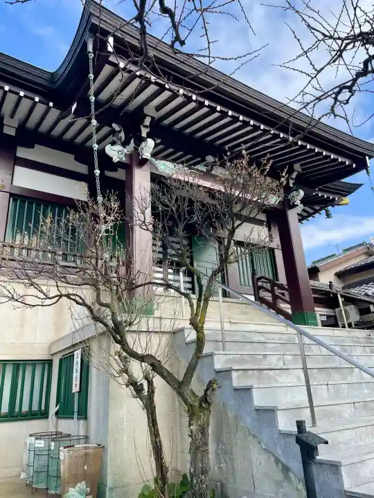 真英寺の{uncategorized: "未分類", other: "その他", undefined: "問題あり", building: "その他建物", grave: "お墓", sacred_gate: "鳥居", guardian: "狛犬", statue: "像", buddha: "仏像", history: "歴史", nature: "自然", garden: "庭園", animal: "動物", pagoda: "塔", temizu: "手水舎", mountain_gate: "山門・神門", sanctuary: "本殿・本堂", subordinate: "末社・摂社", art: "芸術", scenery: "景色", jizo: "地蔵", ema: "絵馬", goshuin: "御朱印", omikuji: "おみくじ", items: "授与品その他", amulet: "お守り", goshuincho: "御朱印帳", eats: "食事", festival: "お祭り", votive_dance: "神楽", shichigosan: "七五三参", wedding: "結婚式", experience: "体験その他", initially: "初詣", around: "周辺", anti_infection: "感染症対策"}