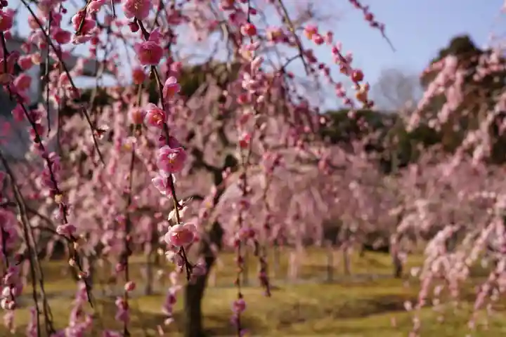菅原神社(三重県)